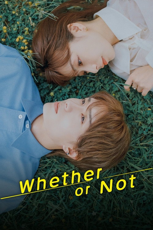 Whether or Not (2026) poster